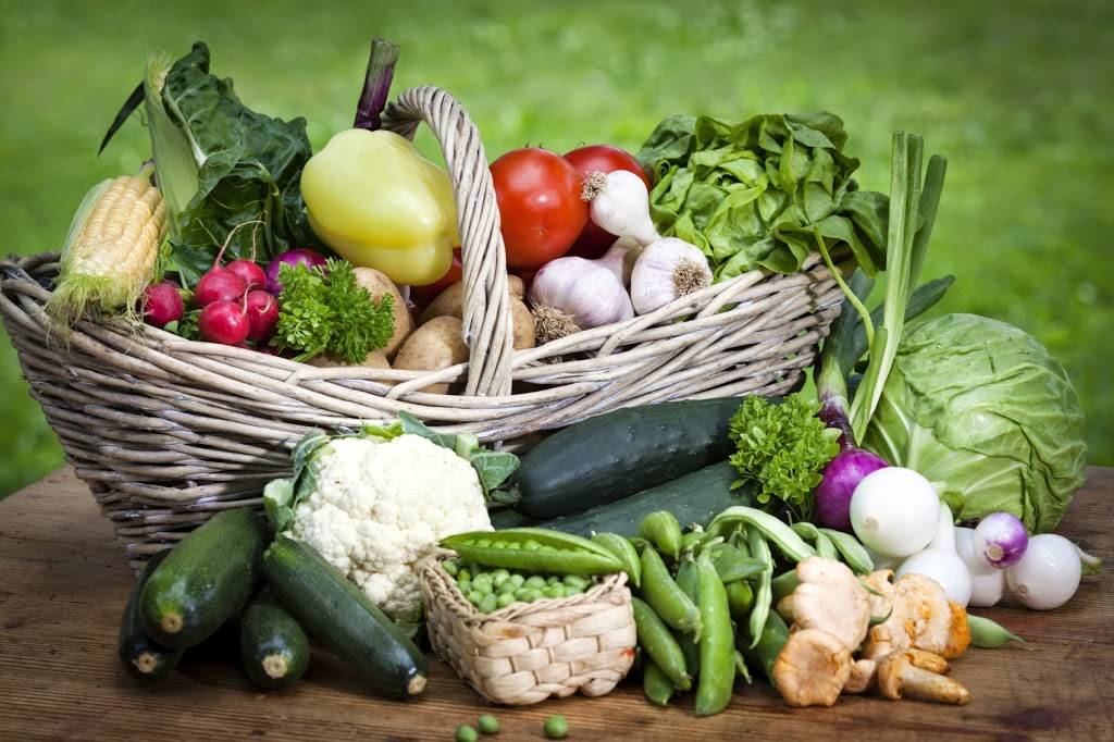 A Simpler Place Farm & Market | restaurant | 9903 Carr Rd, Riverview, FL 33569, USA | 8134241874 OR +1 813-424-1874