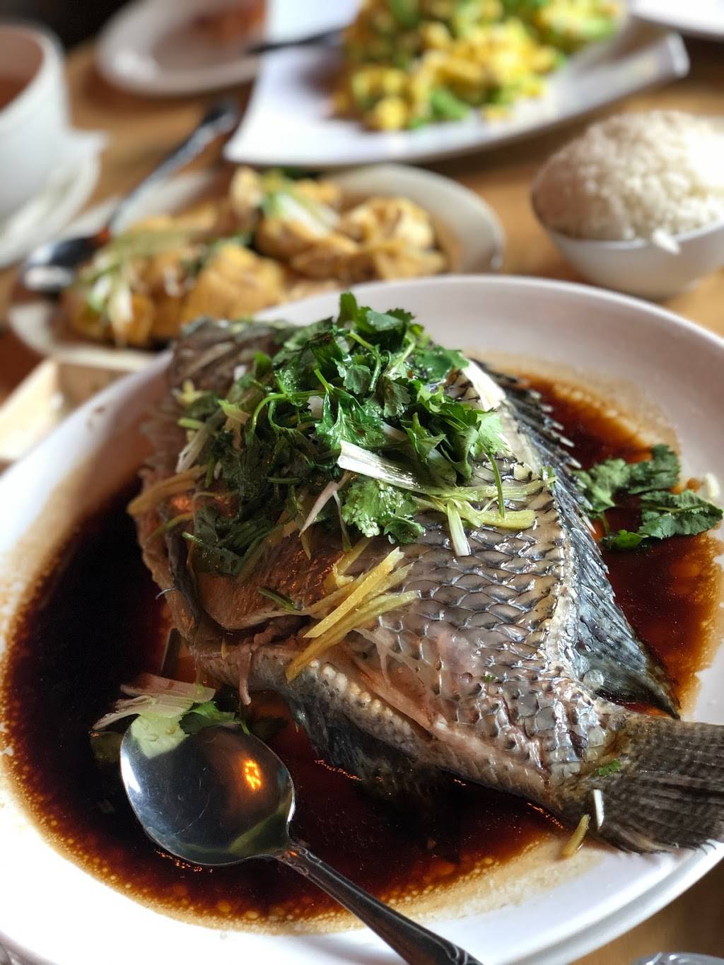 My Place South Loop Restaurant/Bar | night club | 1307 S Wabash Ave, Chicago, IL 60605, USA | 3127636935 OR +1 312-763-6935