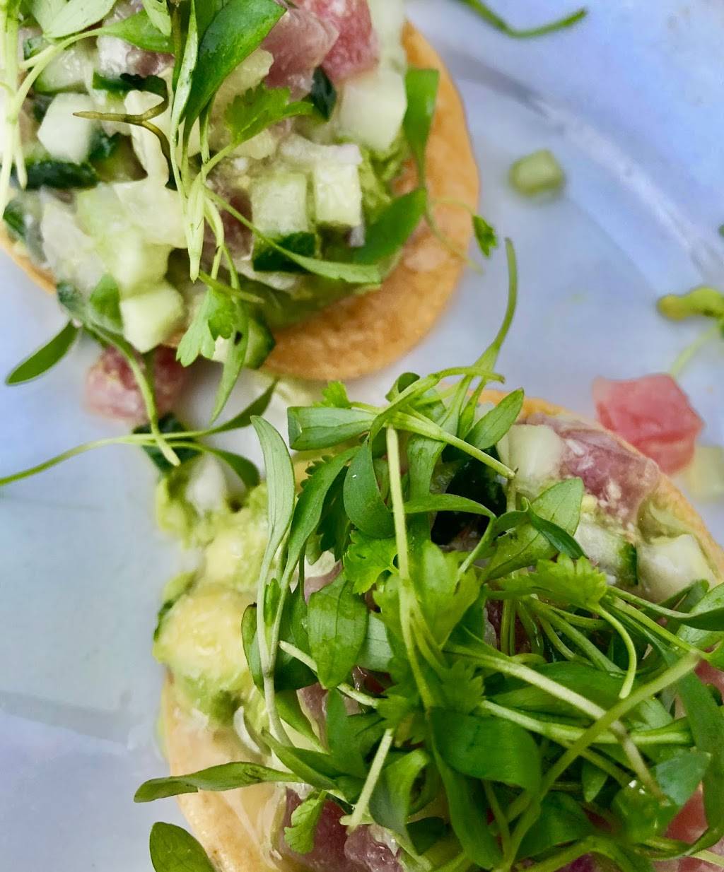 Doña Tomás | restaurant | 5004 Telegraph Ave, Oakland, CA 94609, USA | 5104500522 OR +1 510-450-0522