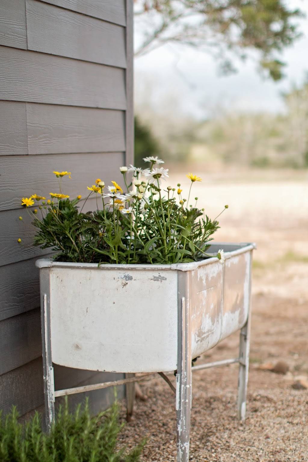 The Vintage Hideaway | restaurant | 3820 Schoenst Rd, Carmine, TX 78932, USA | 2812357486 OR +1 281-235-7486