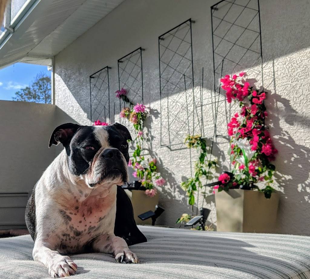 Casita Kramerica at Del Boca Vista | restaurant | 6831 Livingston Woods Ln, Naples, FL 34109, USA | 7274918097 OR +1 727-491-8097