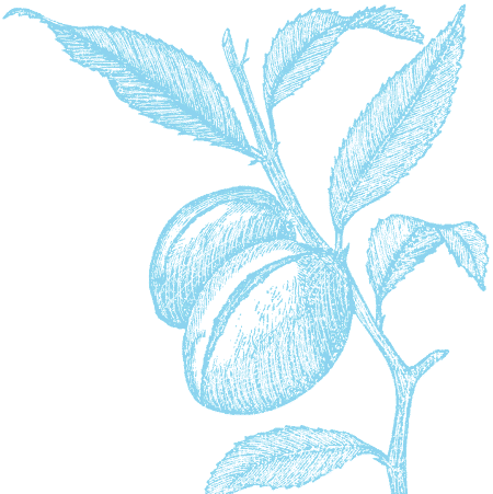 Creperie Saint Germain | restaurant | 1760 Cesar Chavez l, San Francisco, CA 94101, USA | 4159487348 OR +1 415-948-7348