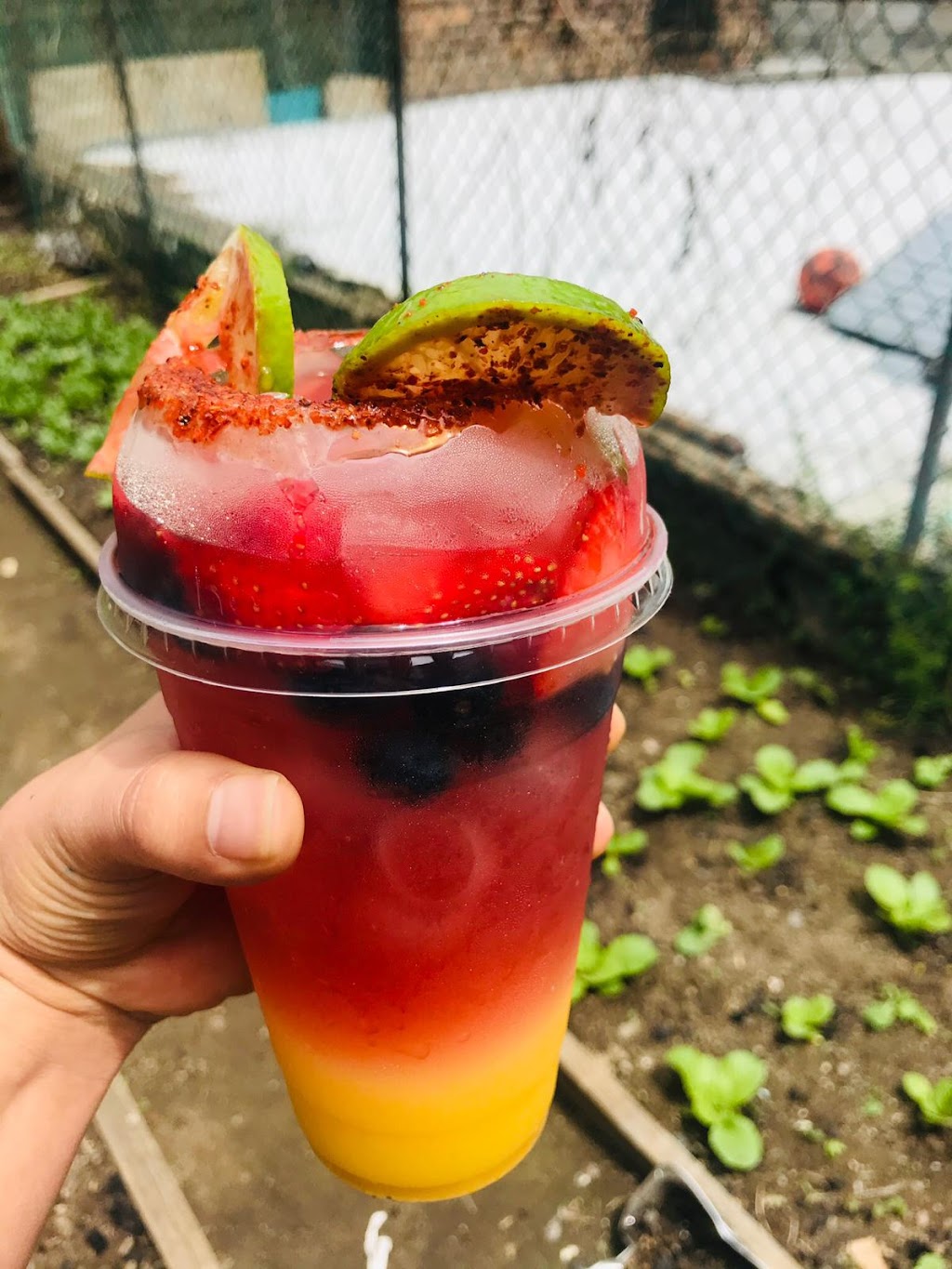 Community Nutrition S.A.V | restaurant | 49-04 Junction Blvd, Queens, NY 11373, USA | 3477309191 OR +1 347-730-9191