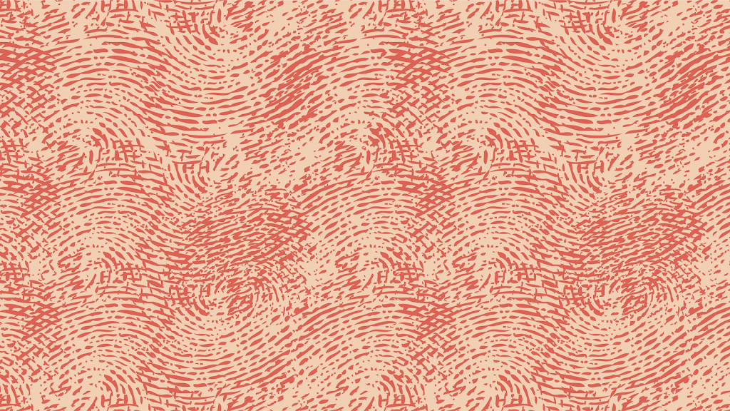 un dito | restaurant | 4728 Cedar Ave S, Minneapolis, MN 55407, USA | 6122238639 OR +1 612-223-8639