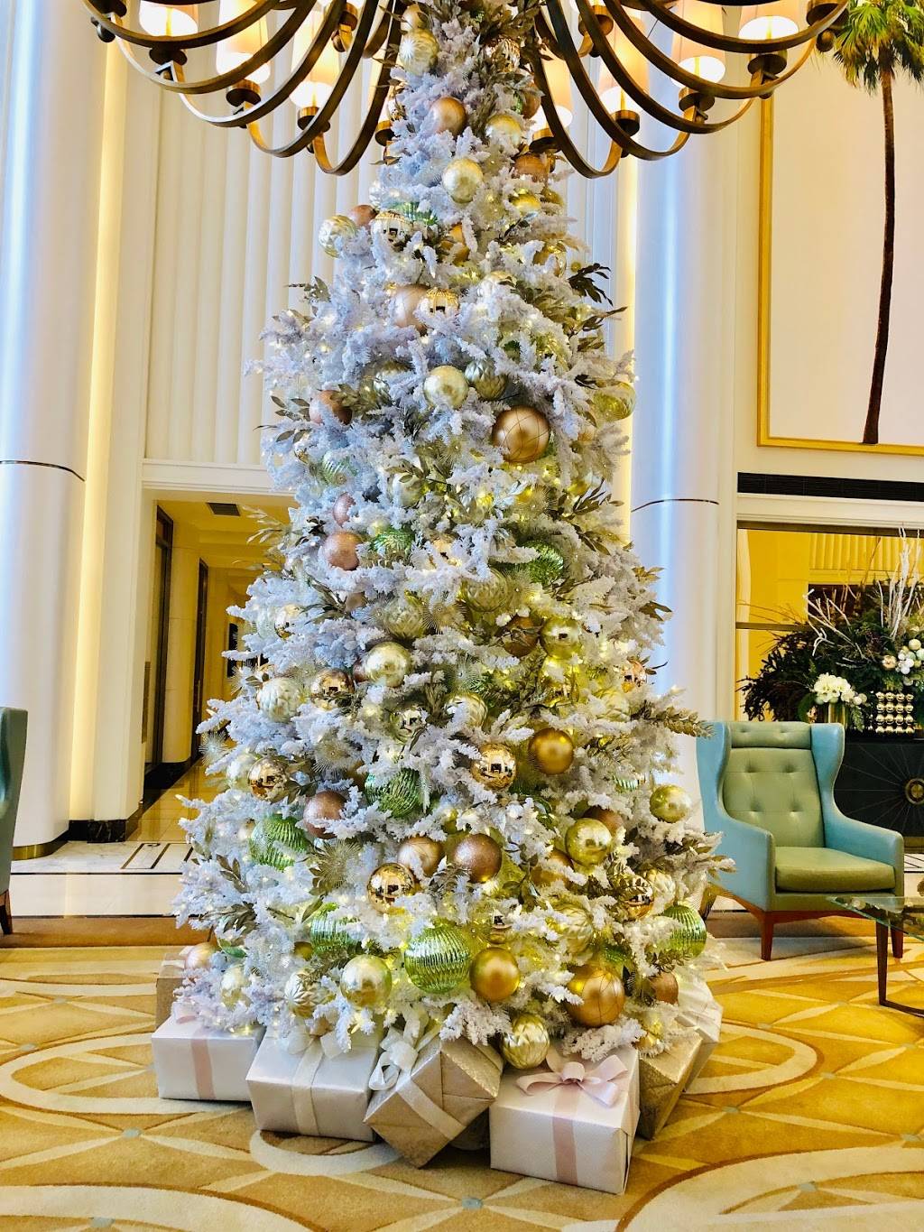 The Rooftop by JG | restaurant | 9850 Wilshire Blvd, Beverly Hills, CA 90210, USA | 3108606566 OR +1 310-860-6566