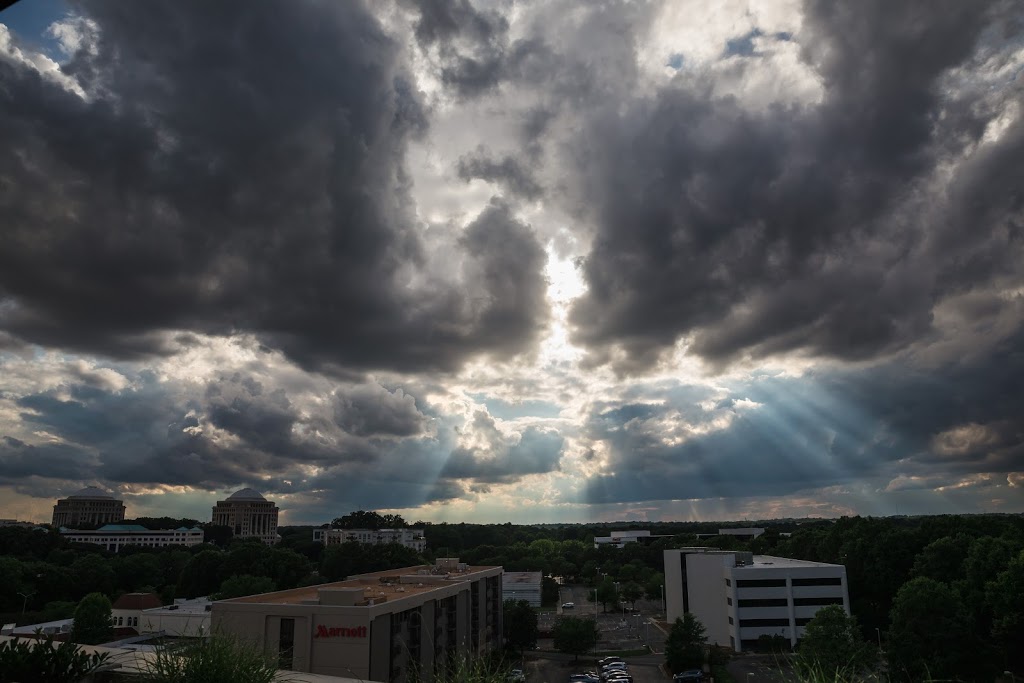 Cordial | restaurant | 1824 Roxborough Rd, Charlotte, NC 28211, USA | 9802812080 OR +1 980-281-2080