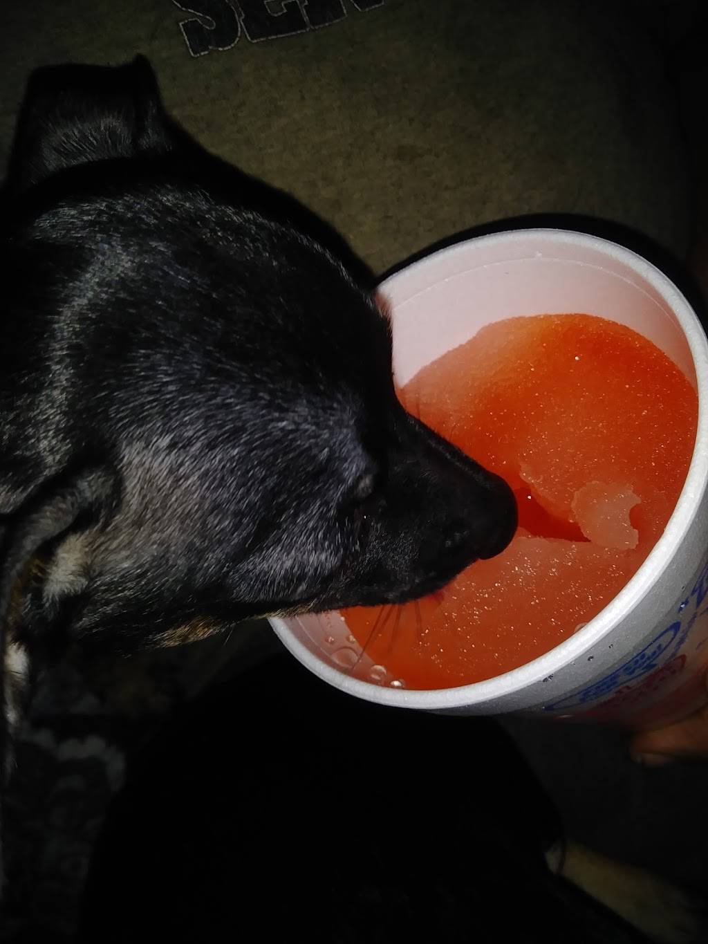 Sonic Drive-In | restaurant | 2031 White Ln, Bakersfield, CA 93304, USA | 6613969100 OR +1 661-396-9100