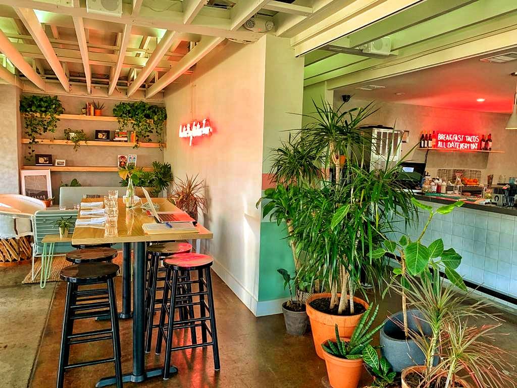 Taco Heads | restaurant | 1921 N Henderson Ave, Dallas, TX 75206, USA | 4697790143 OR +1 469-779-0143