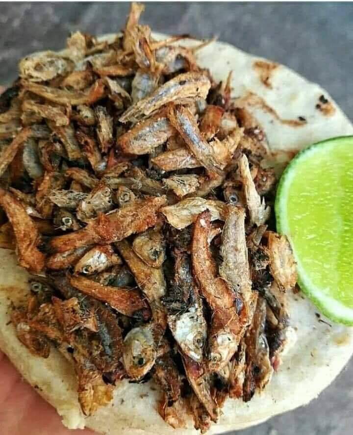 Pupusas Lover | restaurant | 2236 S Colorado Blvd, Denver, CO 80222, USA | 7205083197 OR +1 720-508-3197