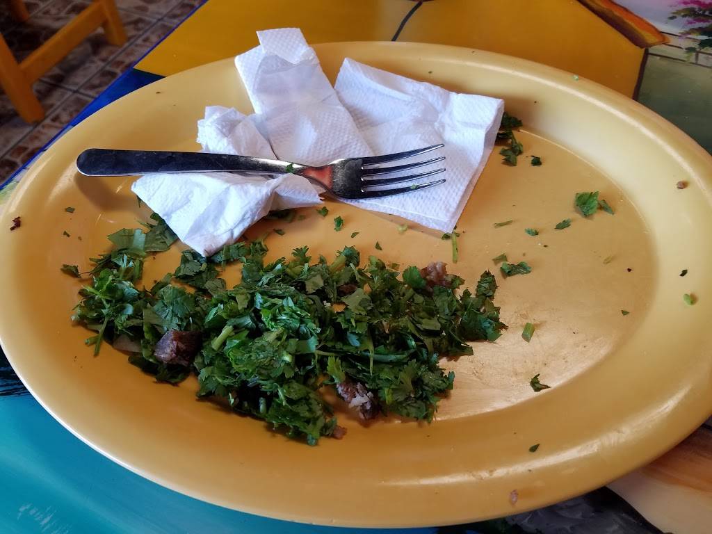 Taqueria El Vaporcito | restaurant | 2775 W Thomas Rd, Phoenix, AZ 85017, USA | 6022690902 OR +1 602-269-0902
