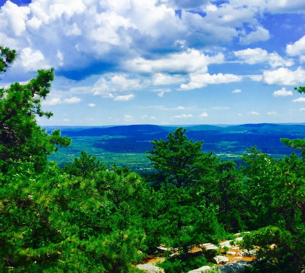 Annies Kitchen | restaurant | 7224 Main St, Flushing, NY 11367, USA | 7182680960 OR +1 718-268-0960