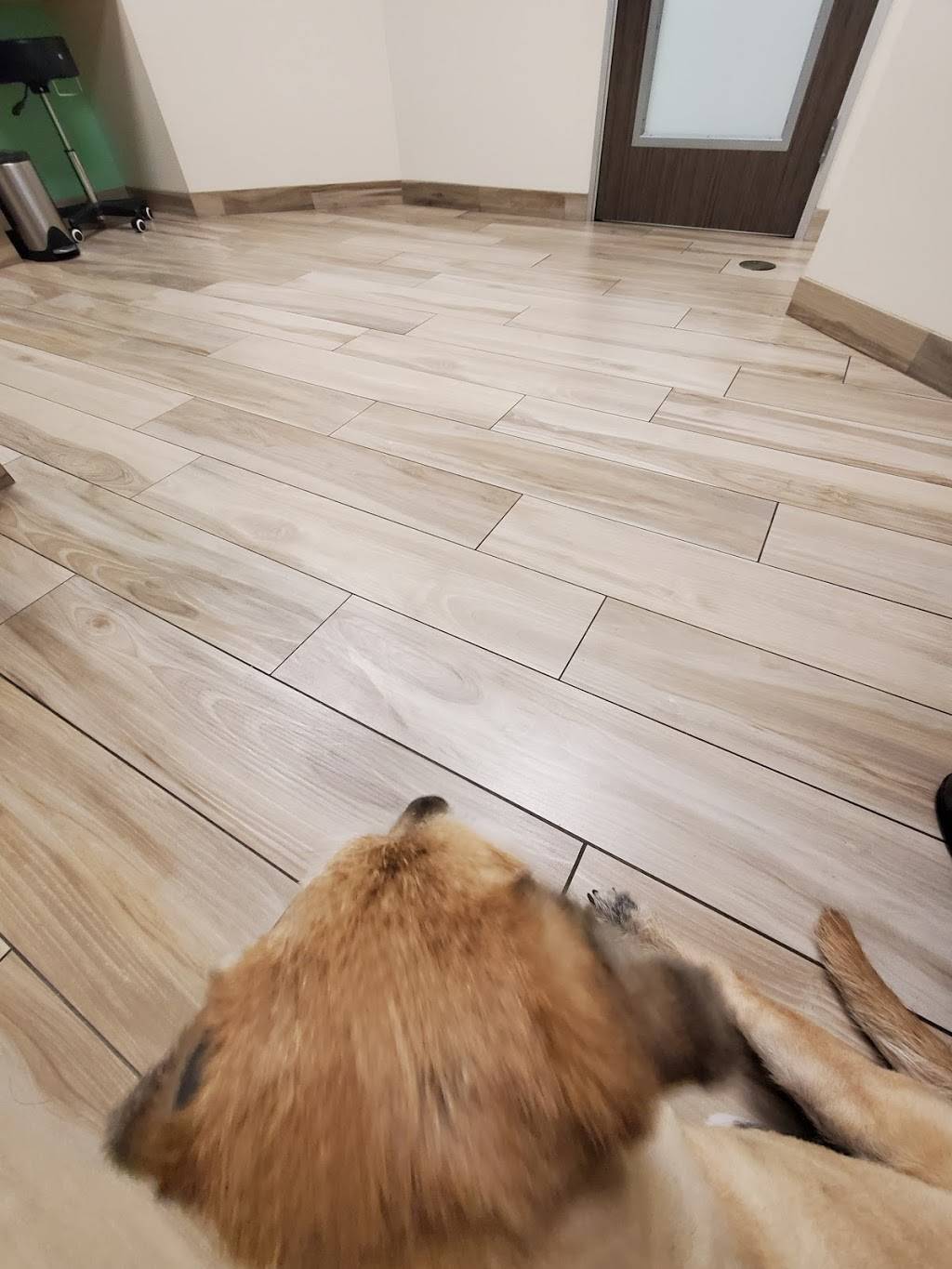 PetPoint Medical Center and Resort | restaurant | 2505 Da Vinci, Irvine, CA 92614, USA | 9495225700 OR +1 949-522-5700