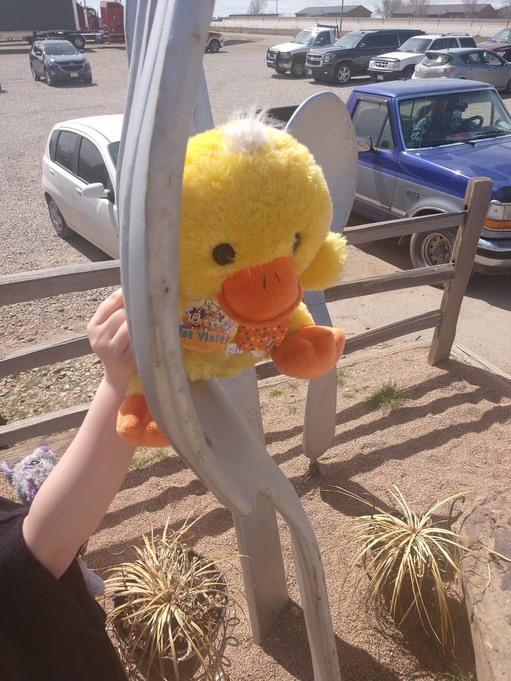 Pepper Pod Restaurant | restaurant | 530 Fir St, Hudson, CO 80642, USA | 3035364736 OR +1 303-536-4736