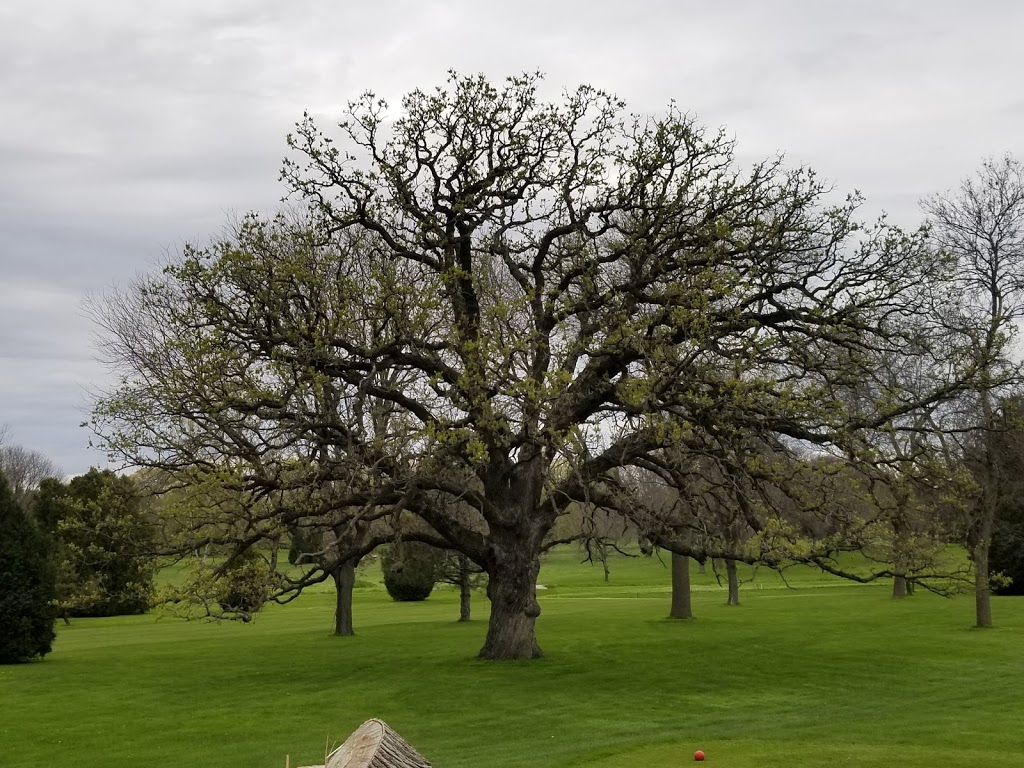 Columbus Country Club | restaurant | 301 Ingalsbe St, Columbus, WI 53925, USA | 9206235880 OR +1 920-623-5880