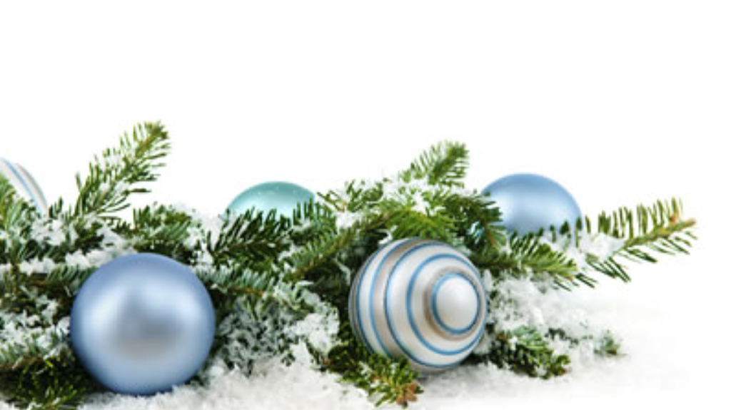 the blue | restaurant | 27th Floor, 501 E Camino Real, Boca Raton, FL 33432, USA | 5614473000 OR +1 561-447-3000