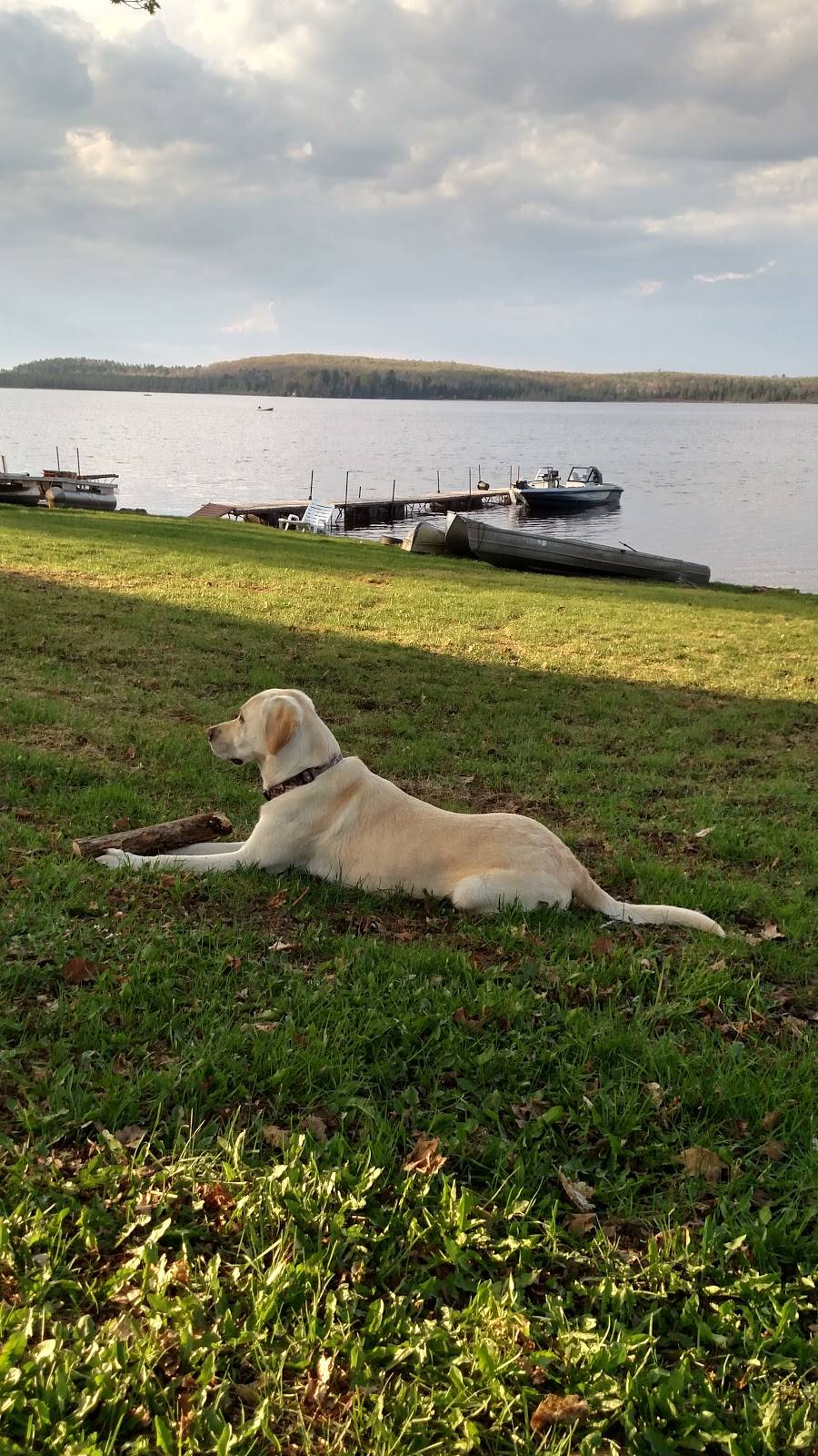 Walleye Lodge | restaurant | N11159 Walleye Rd, Pearson, WI 54462, USA | 7154843333 OR +1 715-484-3333