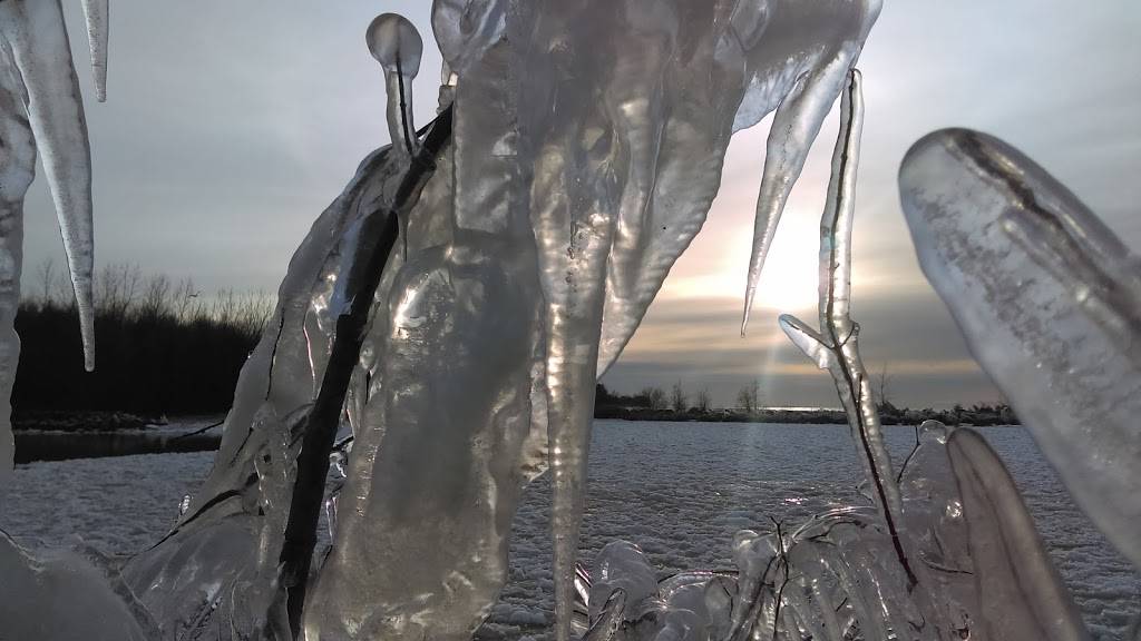 Best Coast Water Sports | meal takeaway | 4605 Padanarum Rd, Geneva, OH 44041, USA | 4404660333 OR +1 440-466-0333