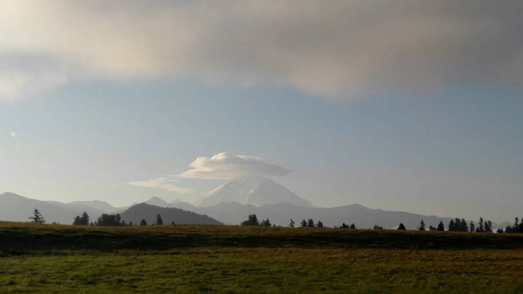 Avalanche Delite | restaurant | 1404 1st St, Enumclaw, WA 98022, USA | 3608252900 OR +1 360-825-2900