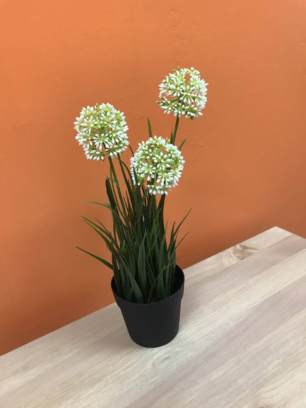 Poke Point | restaurant | 3747 Bruce B Downs Blvd, Wesley Chapel, FL 33544, USA | 8135288464 OR +1 813-528-8464