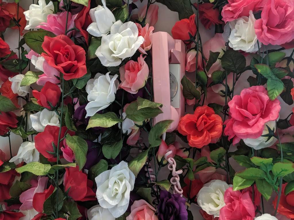 Salsa Limón | restaurant | 1465 W Magnolia Ave, Fort Worth, TX 76104, USA | 6822504842 OR +1 682-250-4842