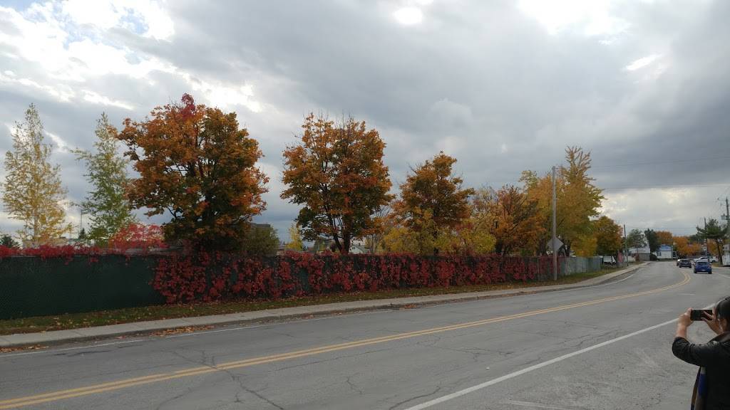 St. Remi Snack Bar | restaurant | 687 Rue Notre Dame, Saint-Rémi, QC J0L 2L0, Canada | 4504549482 OR +1 450-454-9482