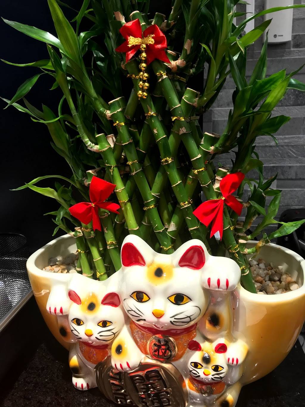 LaoMa Spicy | restaurant | 110 Odendhal Ave Ave 108, Gaithersburg, MD 20877, USA | 2404165885 OR +1 240-416-5885