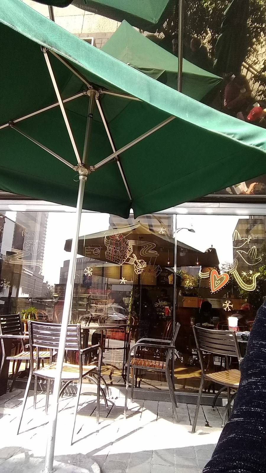 Starbucks | cafe | 1364 Park St, Alameda, CA 94501, USA | 5105215815 OR +1 510-521-5815