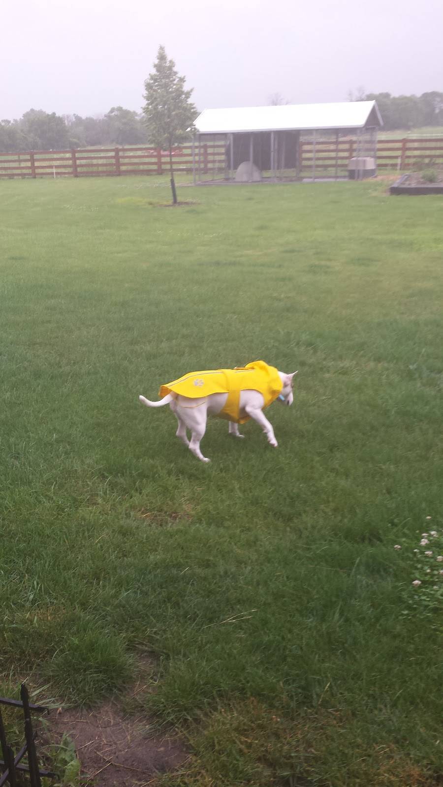 Mic Nicks Pizza & Carry Out | meal takeaway | 310 S East St, Camden, OH 45311, USA | 9377873114 OR +1 937-787-3114