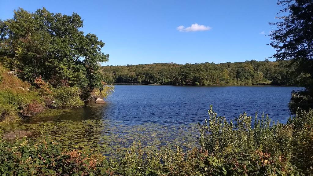 Lake of Isles | restaurant | 1 Clubhouse Dr, North Stonington, CT 06359, USA | 8884753746 OR +1 888-475-3746