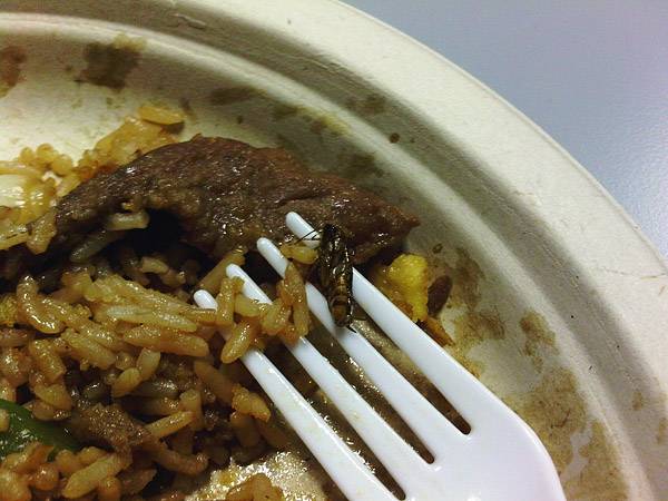 China Star Buffet | restaurant | 2400 W Stone Dr #7, Kingsport, TN 37660, USA | 4232478883 OR +1 423-247-8883