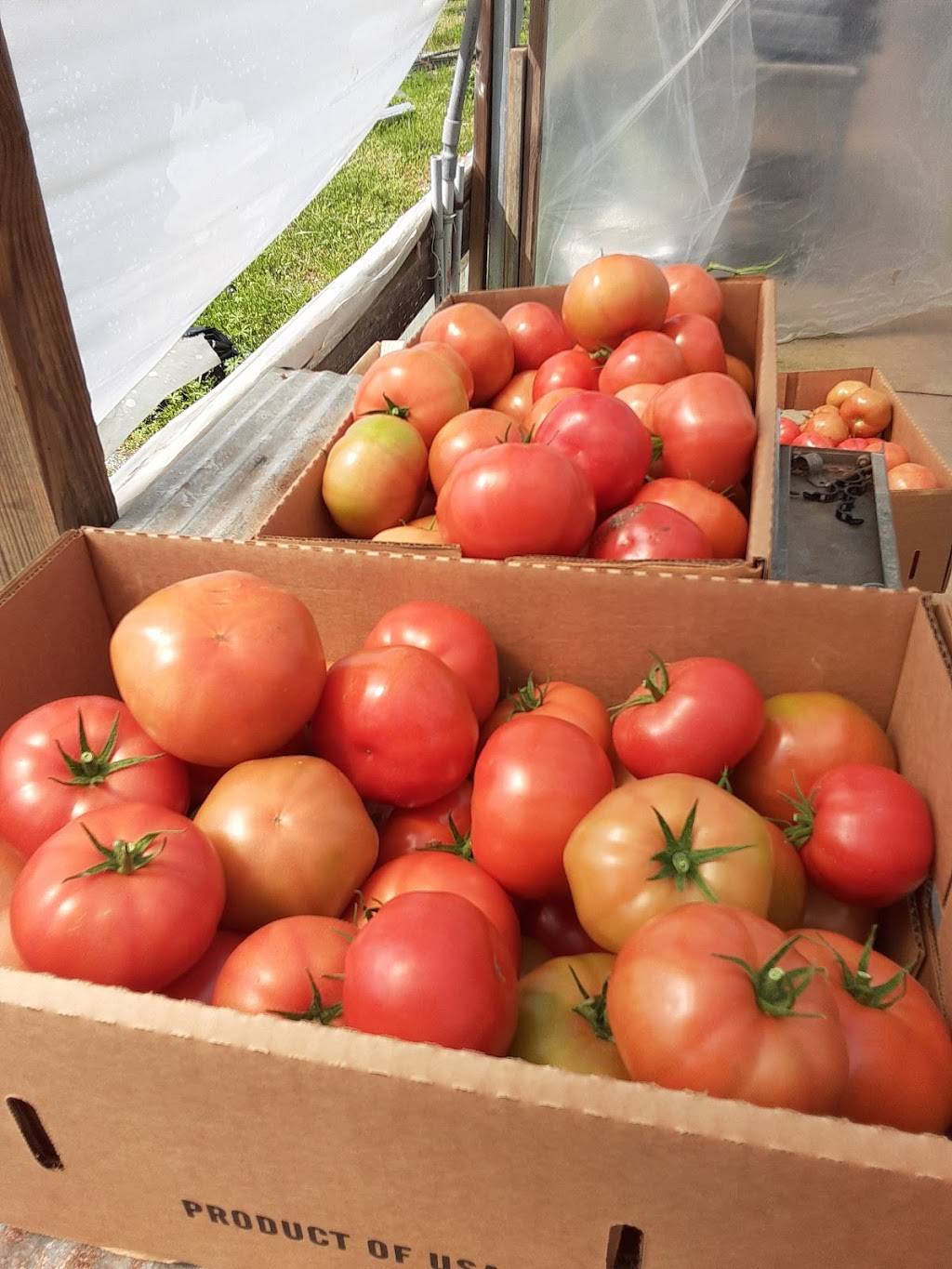 Ky Hydro Farm | restaurant | 14 Moors Camp Hwy, Benton, KY 42025, USA | 2707032178 OR +1 270-703-2178