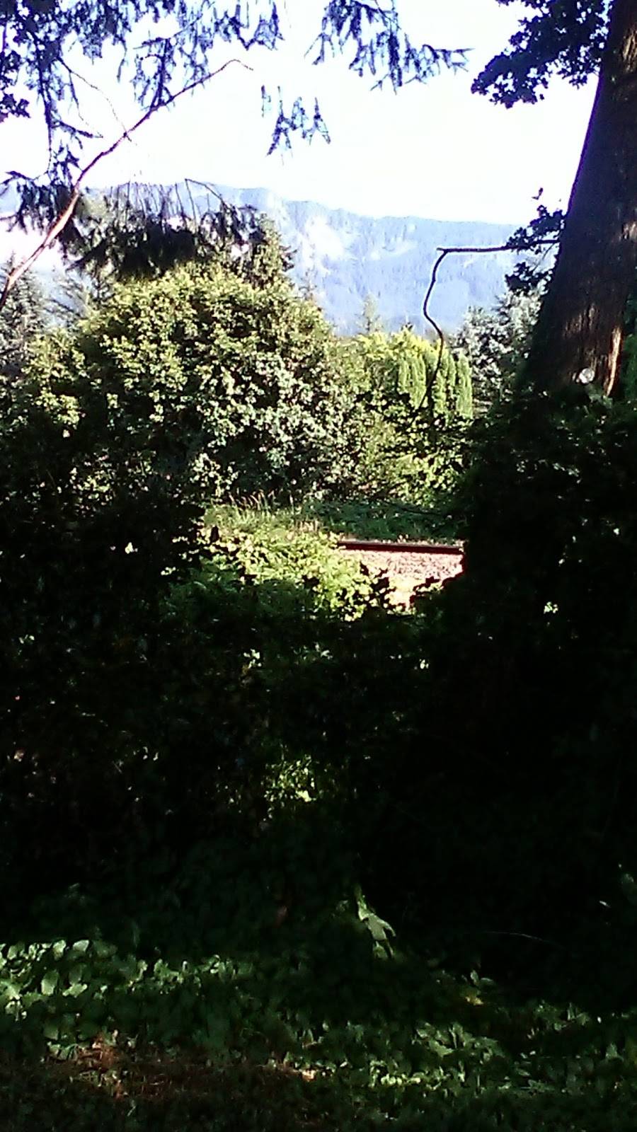 Vicks Burger Shack | restaurant | 31724 US-2, Sultan, WA 98294, USA | 3608636796 OR +1 360-863-6796