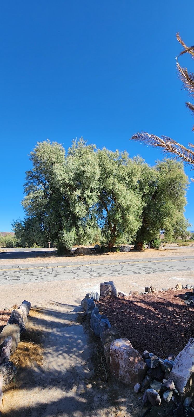 The Kit Fox Cafe | cafe | 59 Old Spanish Trail Hwy, Tecopa, CA 92389, USA | 9703884805 OR +1 970-388-4805