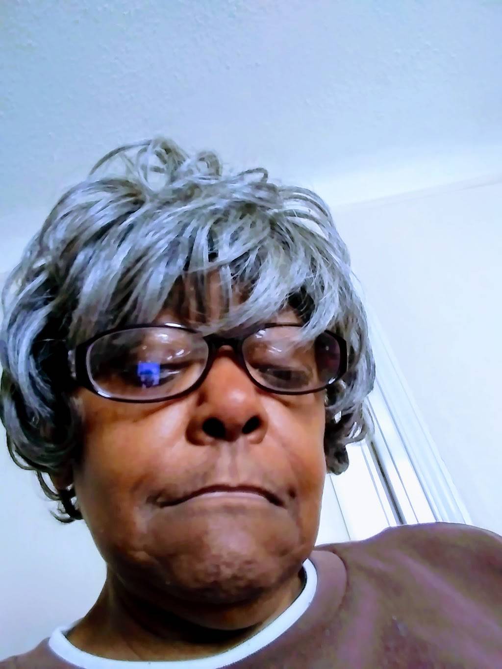 Mai Garlic Restaurant | restaurant | 36151 Plymouth Rd, Livonia, MI 48150, USA | 7342611516 OR +1 734-261-1516