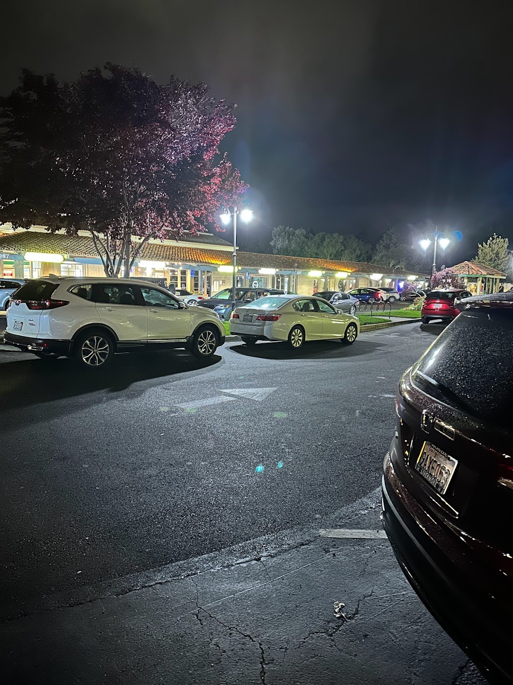 Bandiwala | restaurant | 1991 Santa Rita Rd, Pleasanton, CA 94566, USA | 9253671500 OR +1 925-367-1500