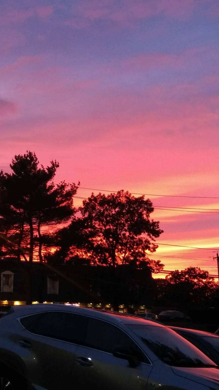 Fishn Chicken | restaurant | 110 Willard St, Quincy, MA 02169, USA | 6177700106 OR +1 617-770-0106