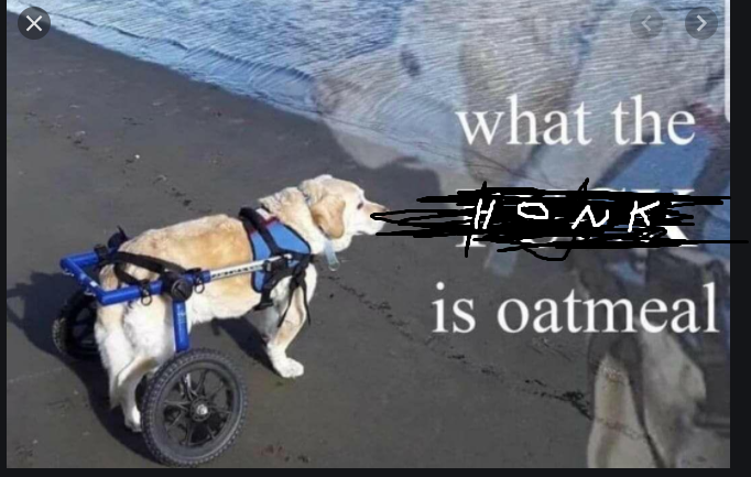 Uncle Tucks Sandwiches | restaurant | 10976 Pickett Ridge Rd, Prairie Grove, AR 72753, USA | 9095066744 OR +1 909-506-6744