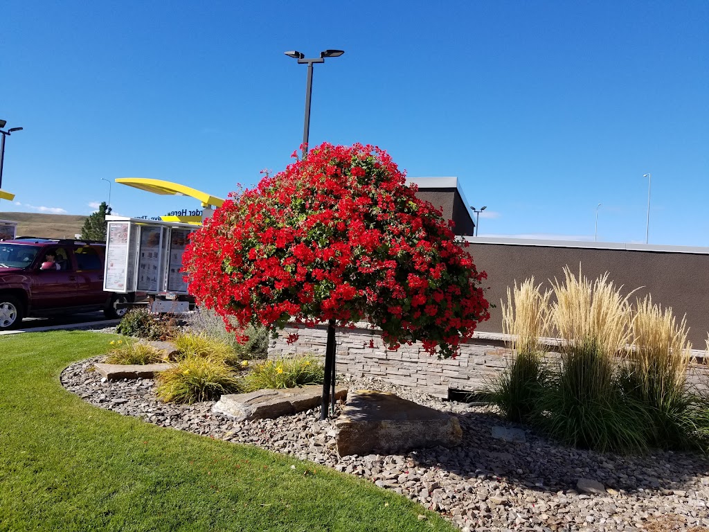 McDonalds | restaurant | 3919 Cheyenne Boulevard, Rapid City, SD 57703, USA | 6059235951 OR +1 605-923-5951