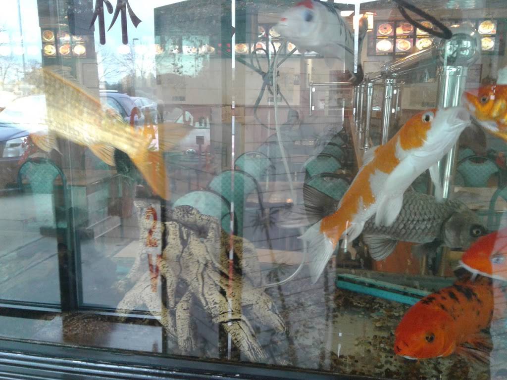 China King | restaurant | 2145 S Neil St, Champaign, IL 61820, USA | 2173518885 OR +1 217-351-8885