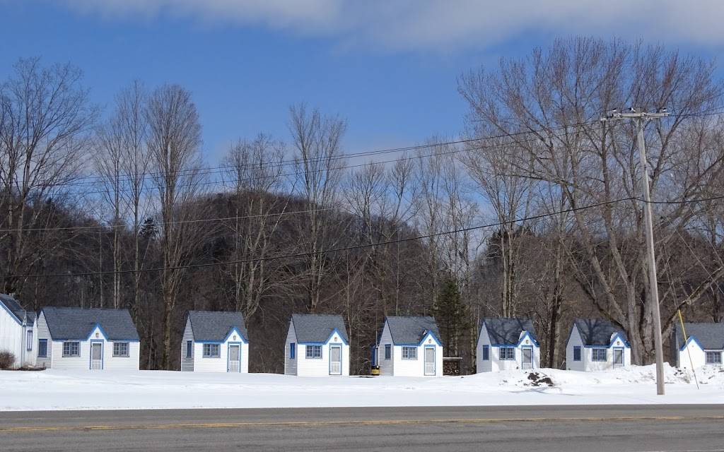 Blue Anchor Restaurant & Motel Cabins | restaurant | 12215 NY-28, Poland, NY 13431, USA | 3158265990 OR +1 315-826-5990