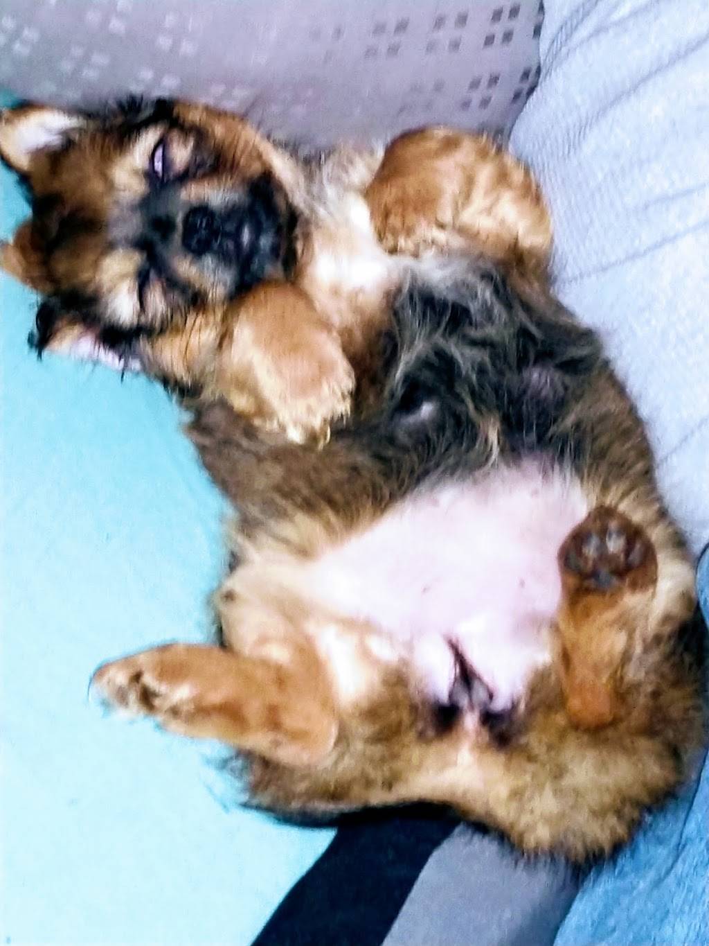 Marias Diner | restaurant | 3848 Main Ave, Groves, TX 77619, USA | 4099607777 OR +1 409-960-7777