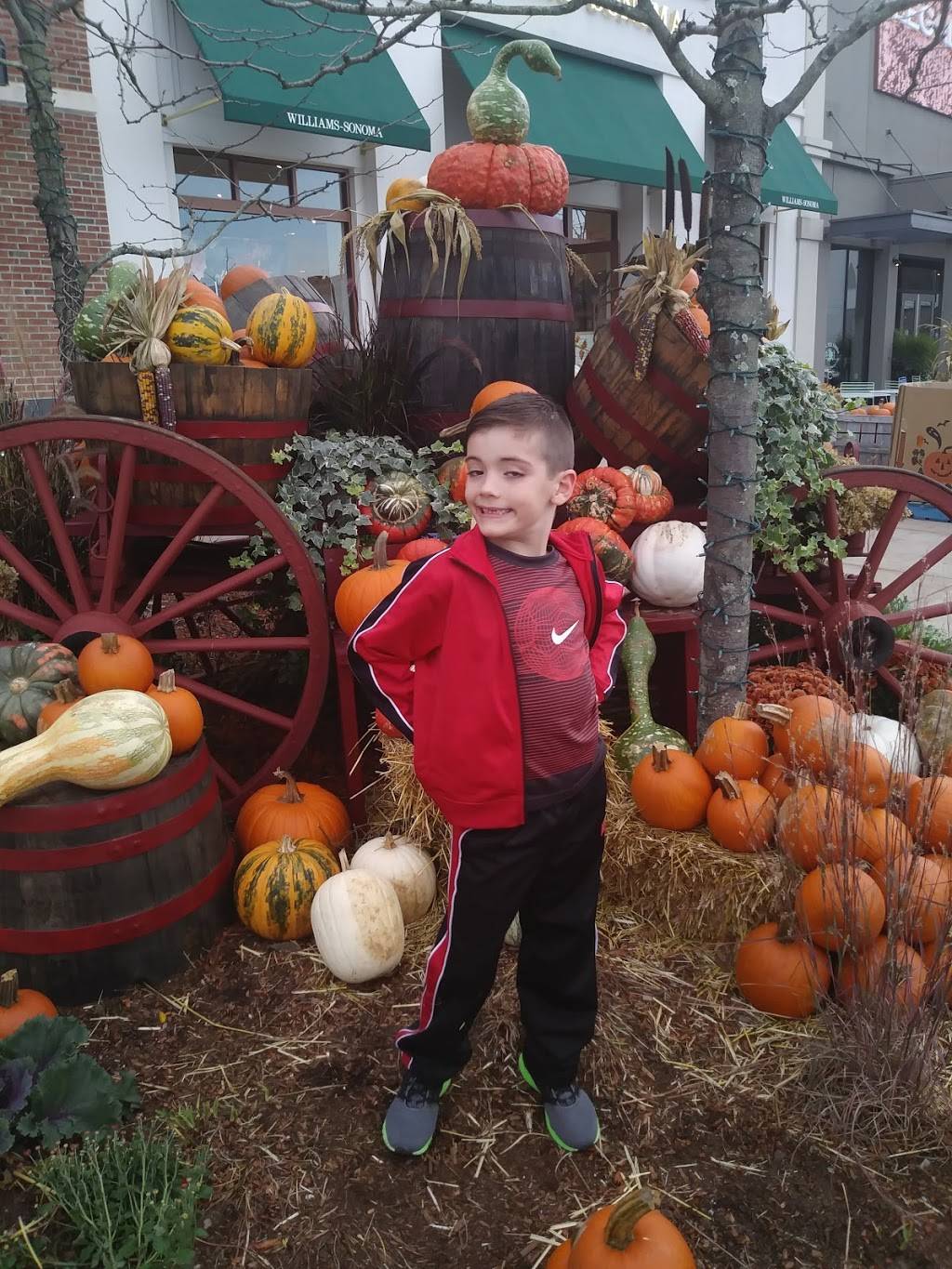 Derby Street Shops | shopping mall | 100 Derby St, Hingham, MA 02043, USA | 7817497800 OR +1 781-749-7800