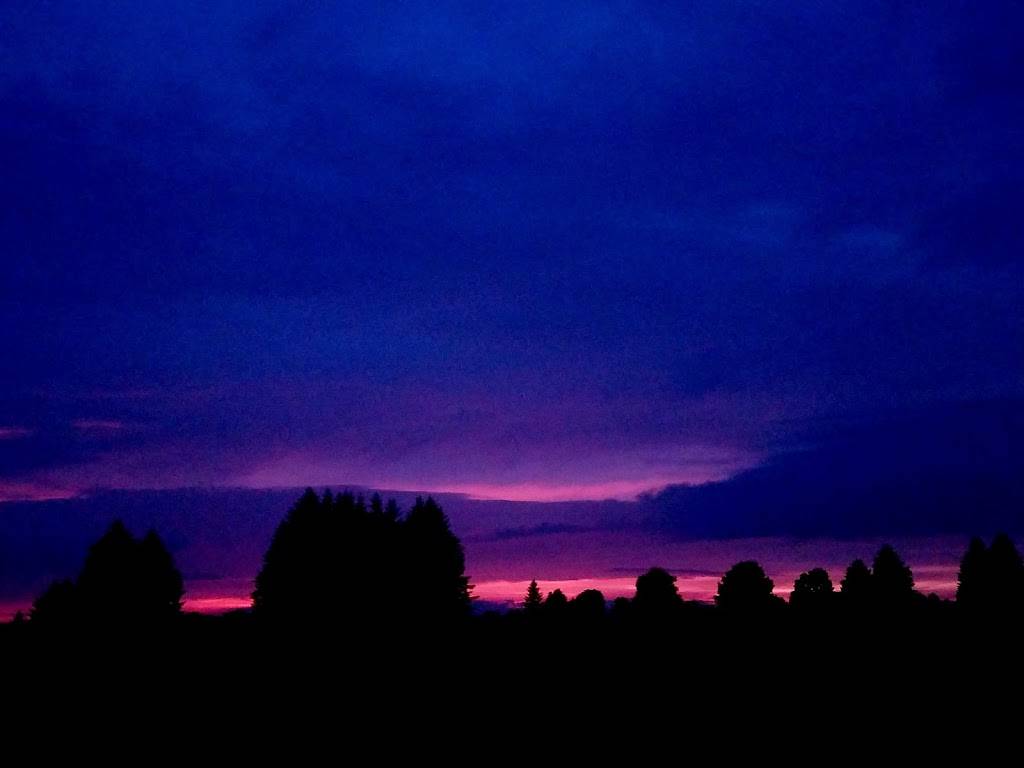 Sarduccis Creekside | restaurant | 5692 Shanty Creek Rd, Bellaire, MI 49615, USA | 2315337080 OR +1 231-533-7080