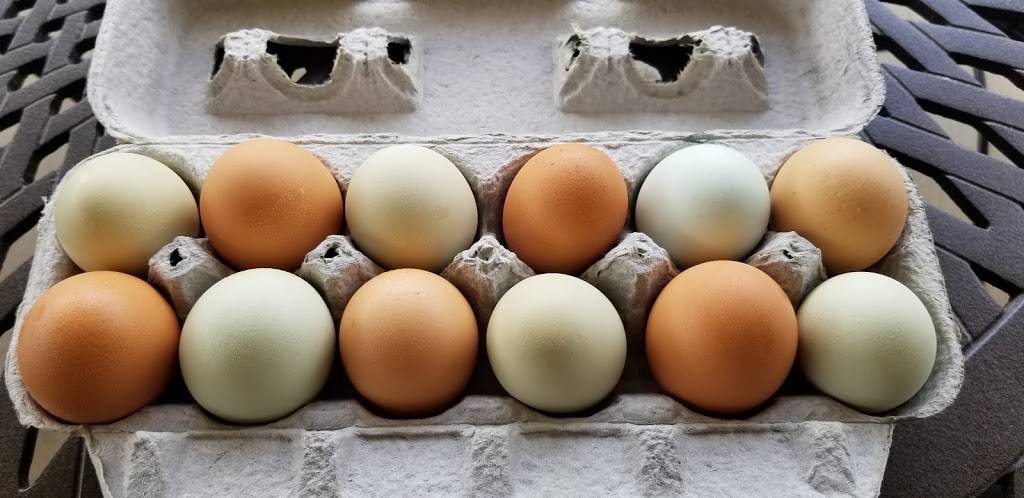 DWs Lakeside | restaurant | 222 Timberlake Dr, Chapin, SC 29036, USA | 8033459909 OR +1 803-345-9909