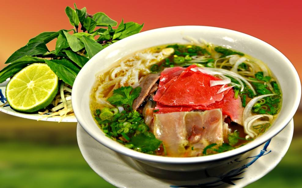 Pho Saigon | restaurant | 1630 Pleasant Hill Rd #100, Duluth, GA 30096, USA | 7705593939 OR +1 770-559-3939