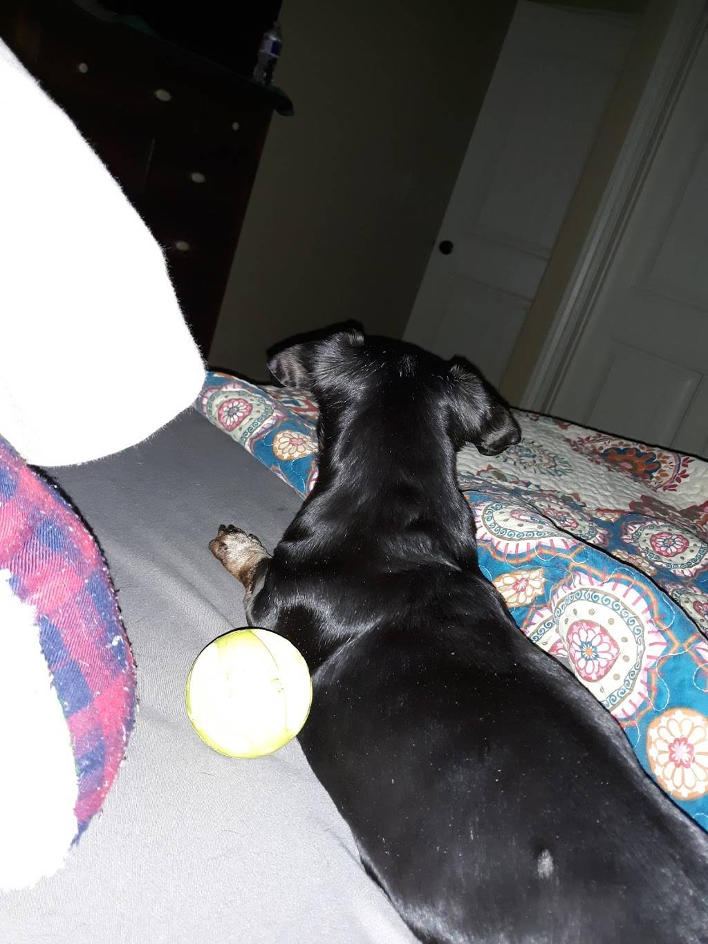 Core Brewery Taproom | restaurant | 2470 Lowell Rd, Springdale, AR 72764, USA | 4797172231 OR +1 479-717-2231