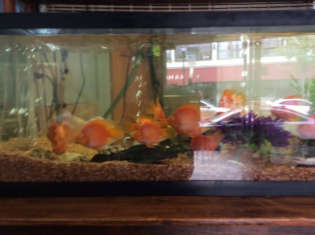 China House | restaurant | 170 N Main St, Port Chester, NY 10573, USA | 9149397288 OR +1 914-939-7288