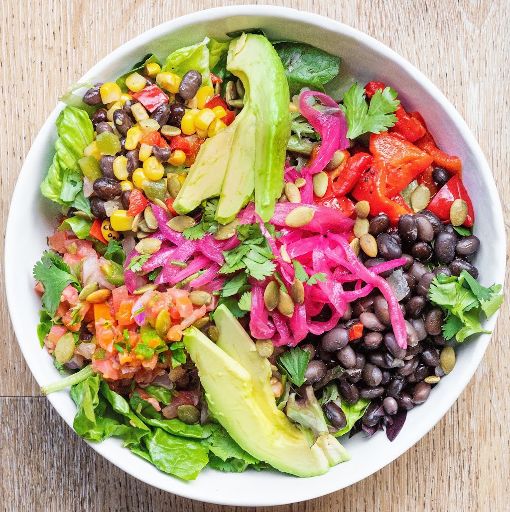 elephant + vine | restaurant | 719 Church St, Evanston, IL 60201, USA | 8475860223 OR +1 847-586-0223