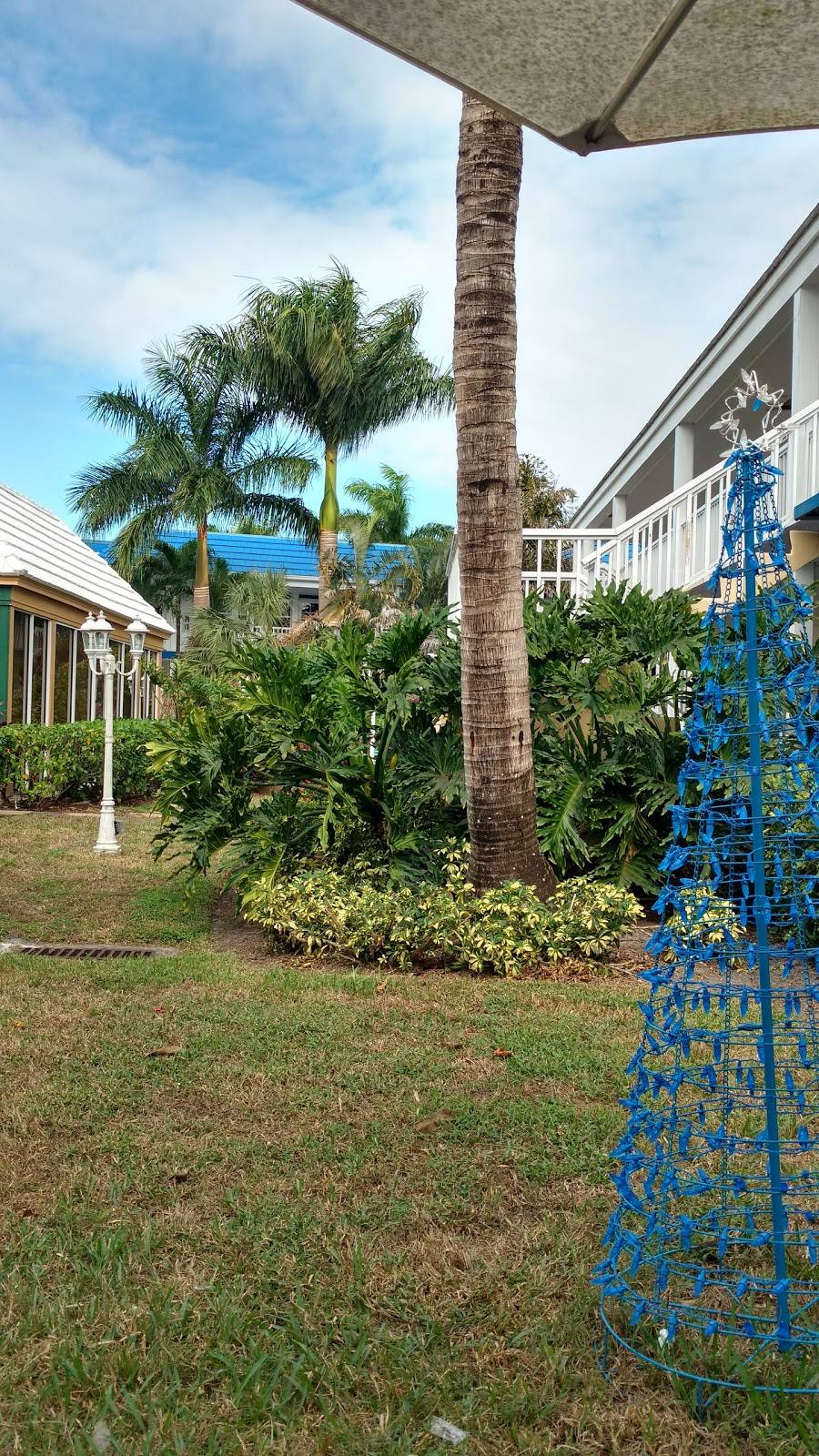 Blu Sushi | night club | 13451 McGregor Blvd #23, Fort Myers, FL 33919, USA | 2394891500 OR +1 239-489-1500