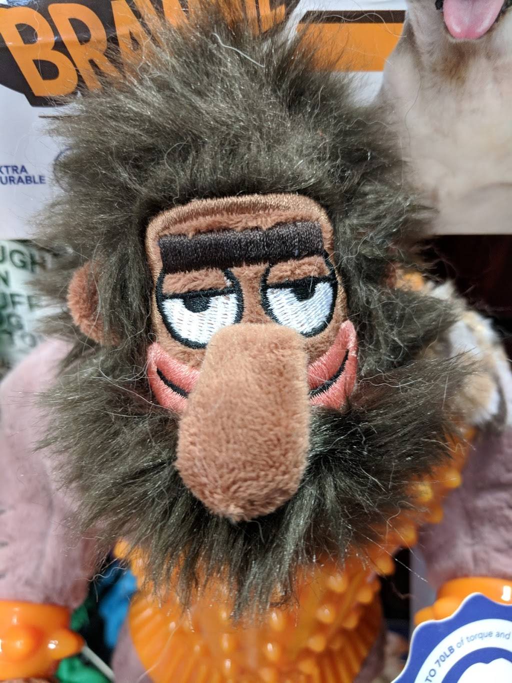 Starbucks | cafe | 95 Linwood Ave, Colchester, CT 06415, USA | 8605378433 OR +1 860-537-8433